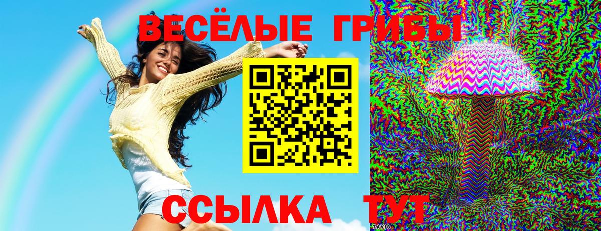 Заволжье  Псилоцибиновые грибы Magic Shrooms  магазин продажи   Вход с VPN 