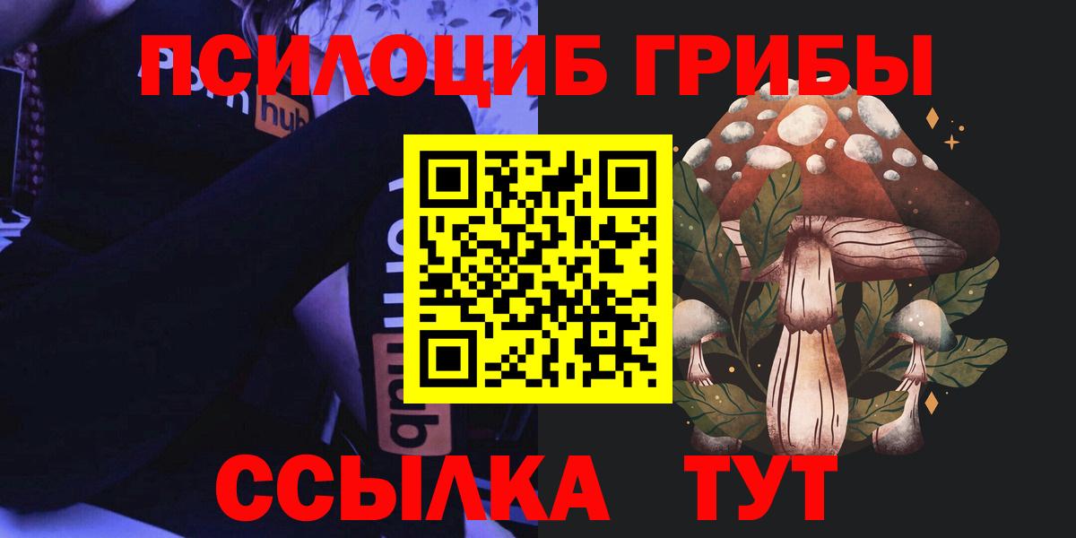 Псилоцибиновые грибы Psilocybe Заволжье